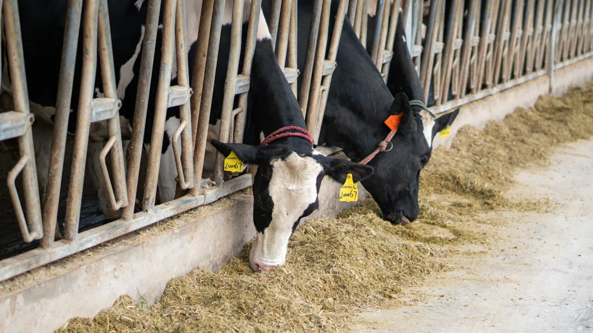 Humate for Animal Husbandry