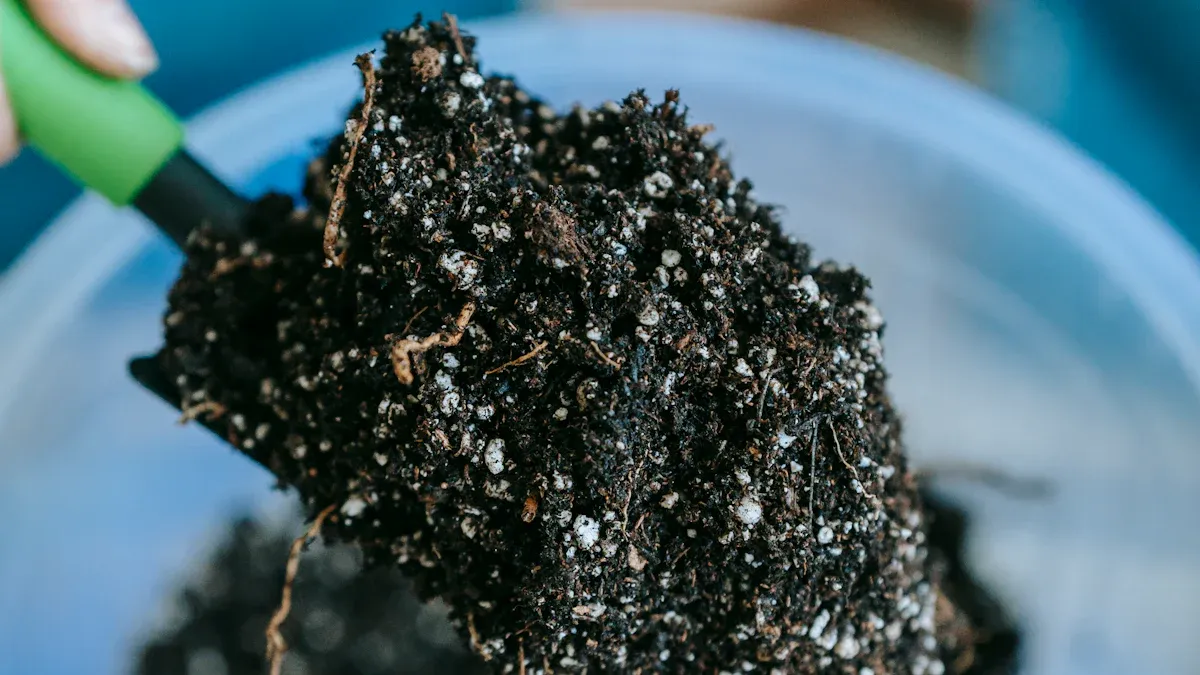 Soil Health
