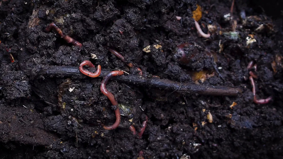 Humic and Fulvic Acid Benefits for Plants