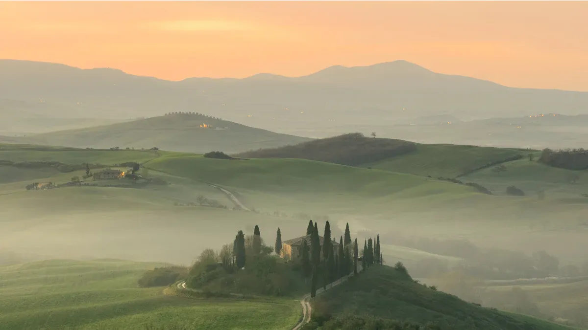Crop Studies in Italy