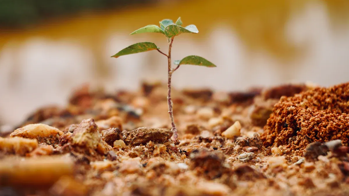 Soil Health and Sustainable Agriculture