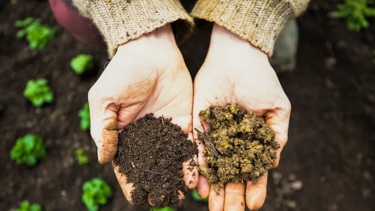 Improve Soil Quality