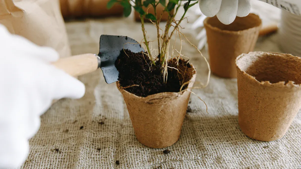 Plant Growth Benefits