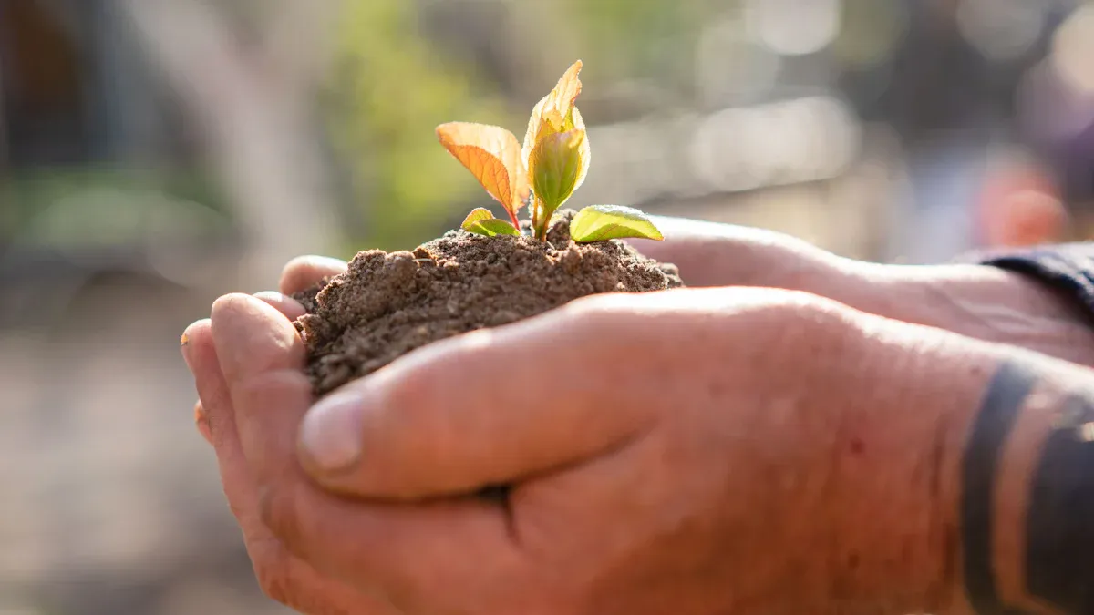Soil Health Benefits