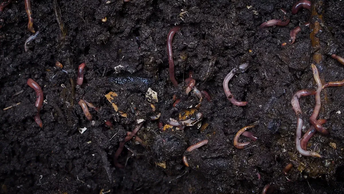 What Is Mineral Humic Acid and How Does It Differ from Other Humic Substances