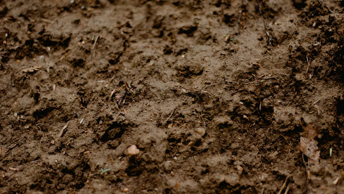 Mineral Humic Acid vs. Other Humic Substances
