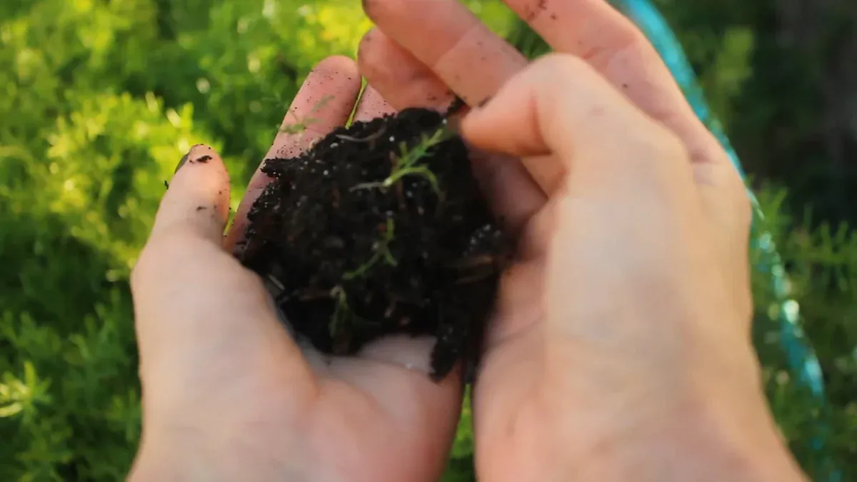 Buying Soil Conditioner