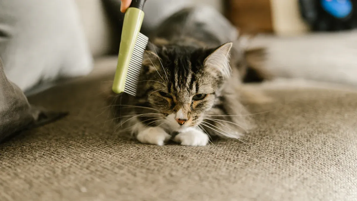 Best Cat Self-Groomer Products of 2025