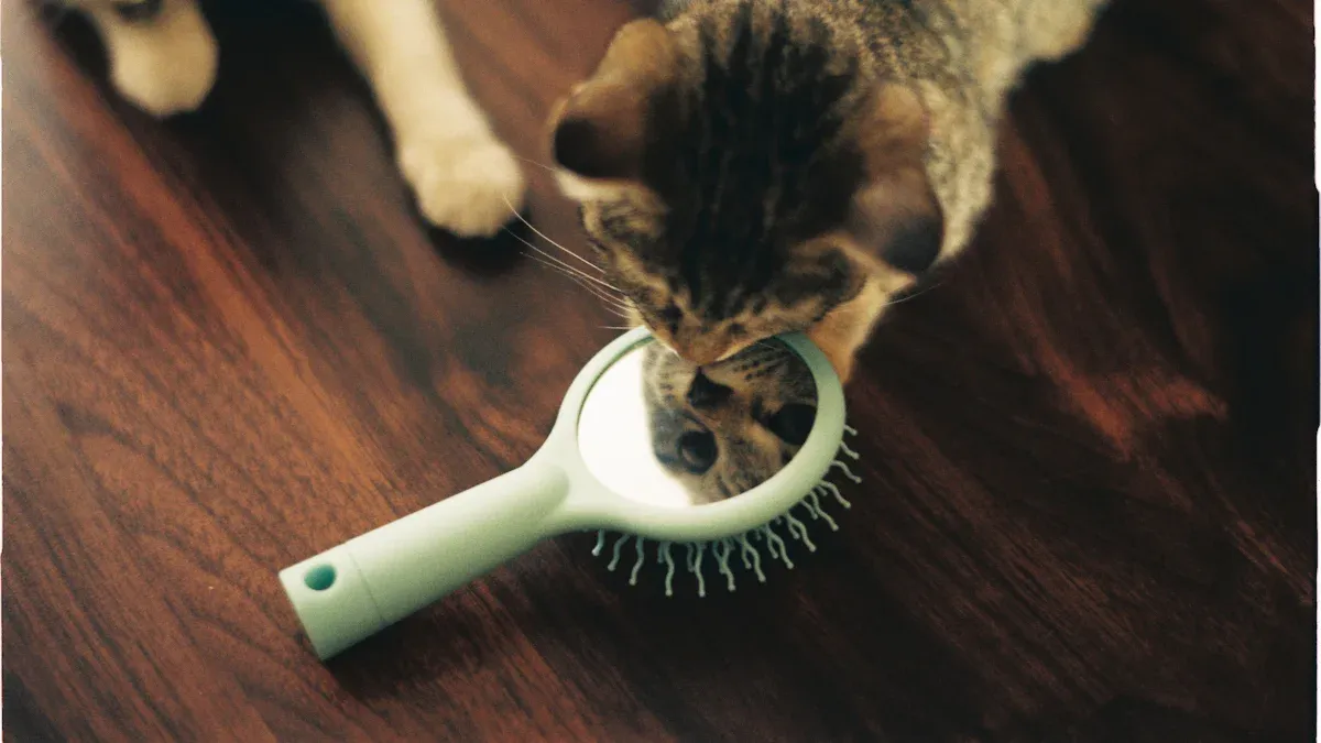 Tips for Introducing a Cat Self-Groomer