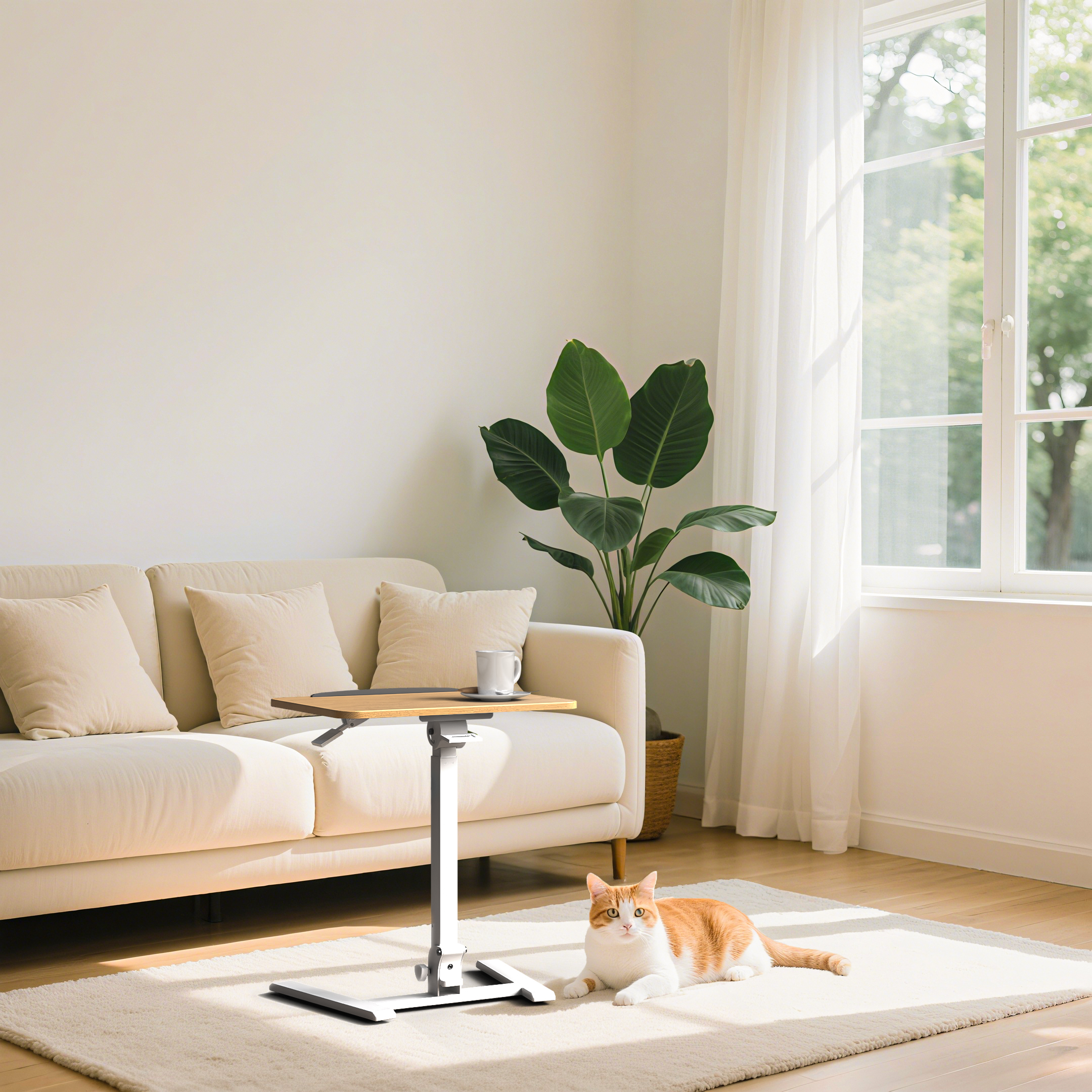 Setup Ideas and Inspiration
