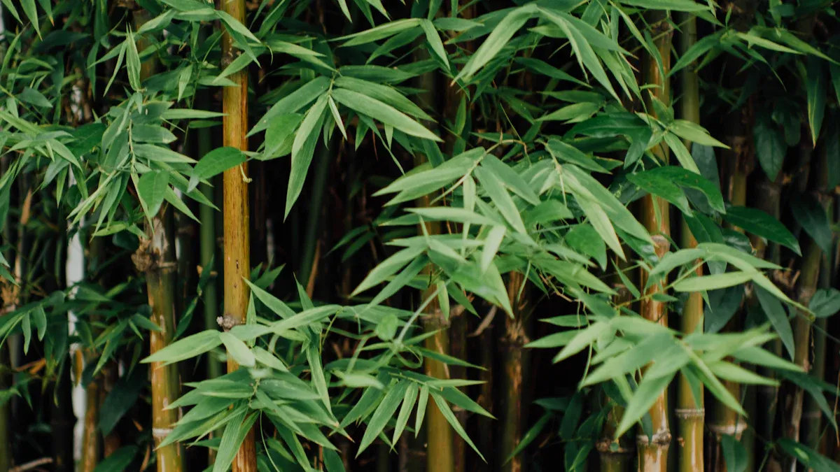 How is Bamboo Fiber Made?