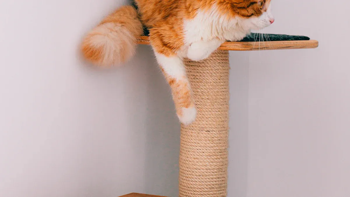 Top 10 Cat Scratching Posts Every Cat Owner Needs in 2025