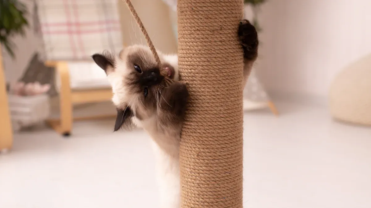 Why Cats Need Scratching Posts