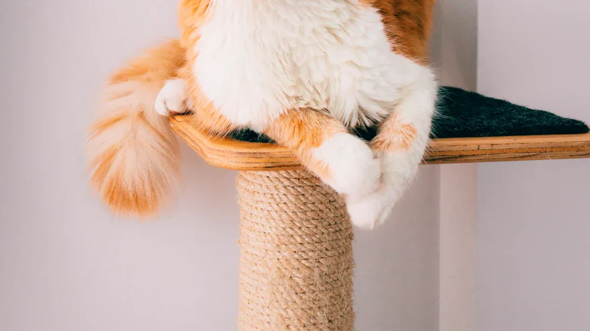 Top Picks for Budget-Friendly Cat Scratching Posts in 2025