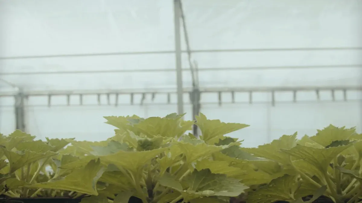 Real-World Results with Grow Lights