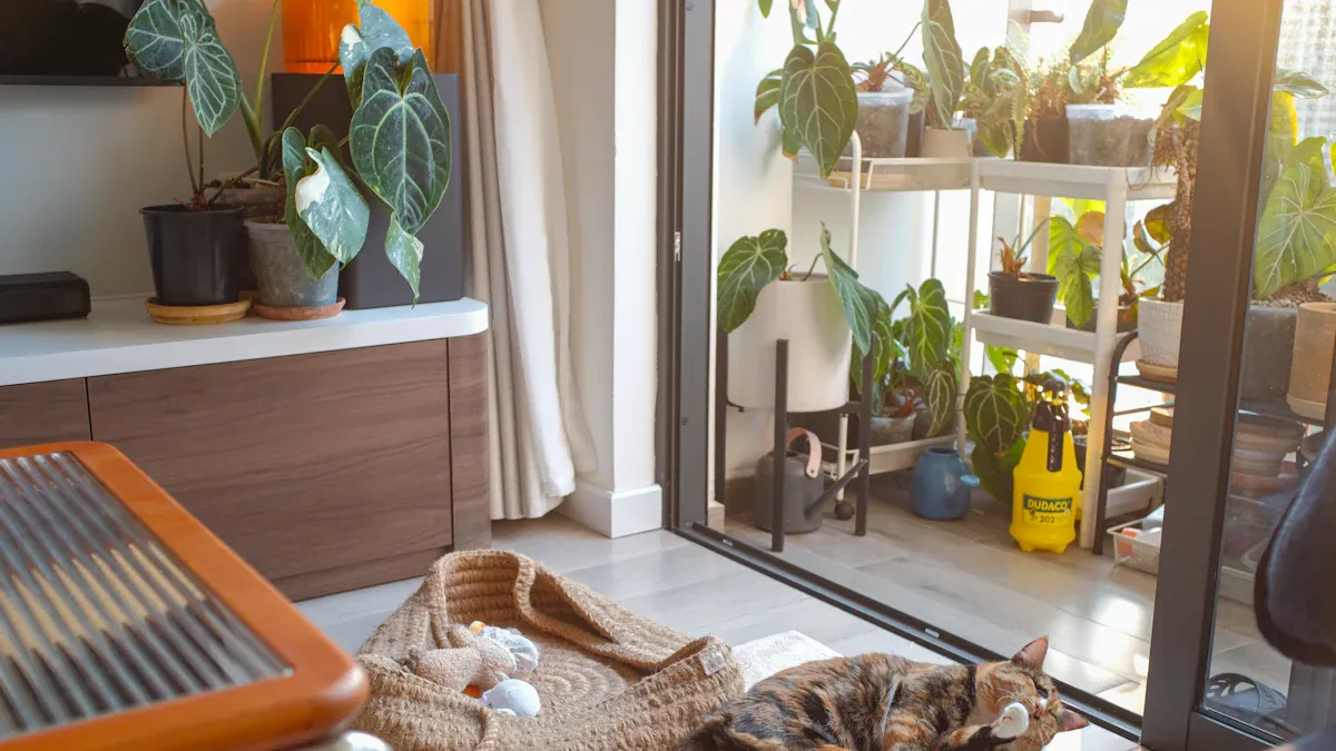 Style and Design Trends