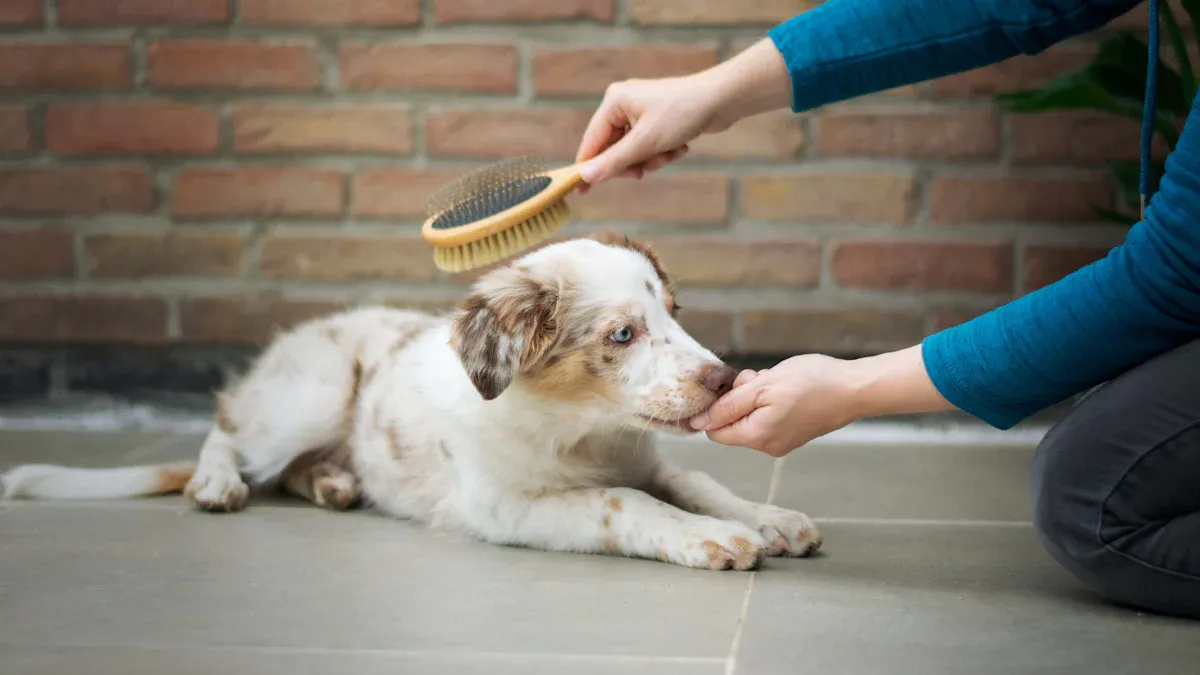 I Tried the Best Pet Hair Removal Tool Set and the Results Surprised Me
