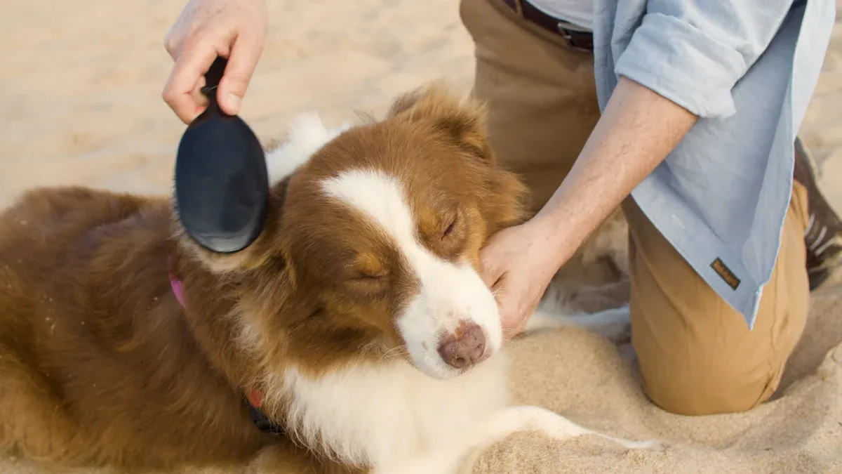 Testing the Pet Hair Removal Tool Set
