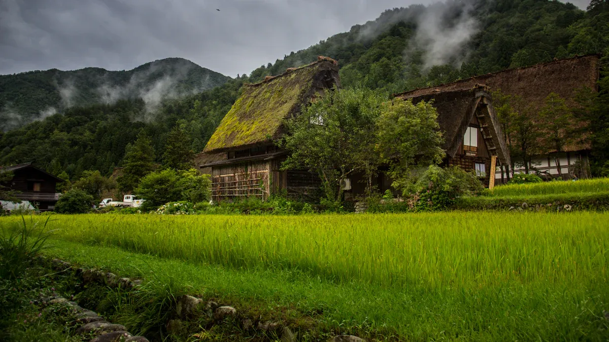 10 Tips for Starting e-Farming While Working Full-Time