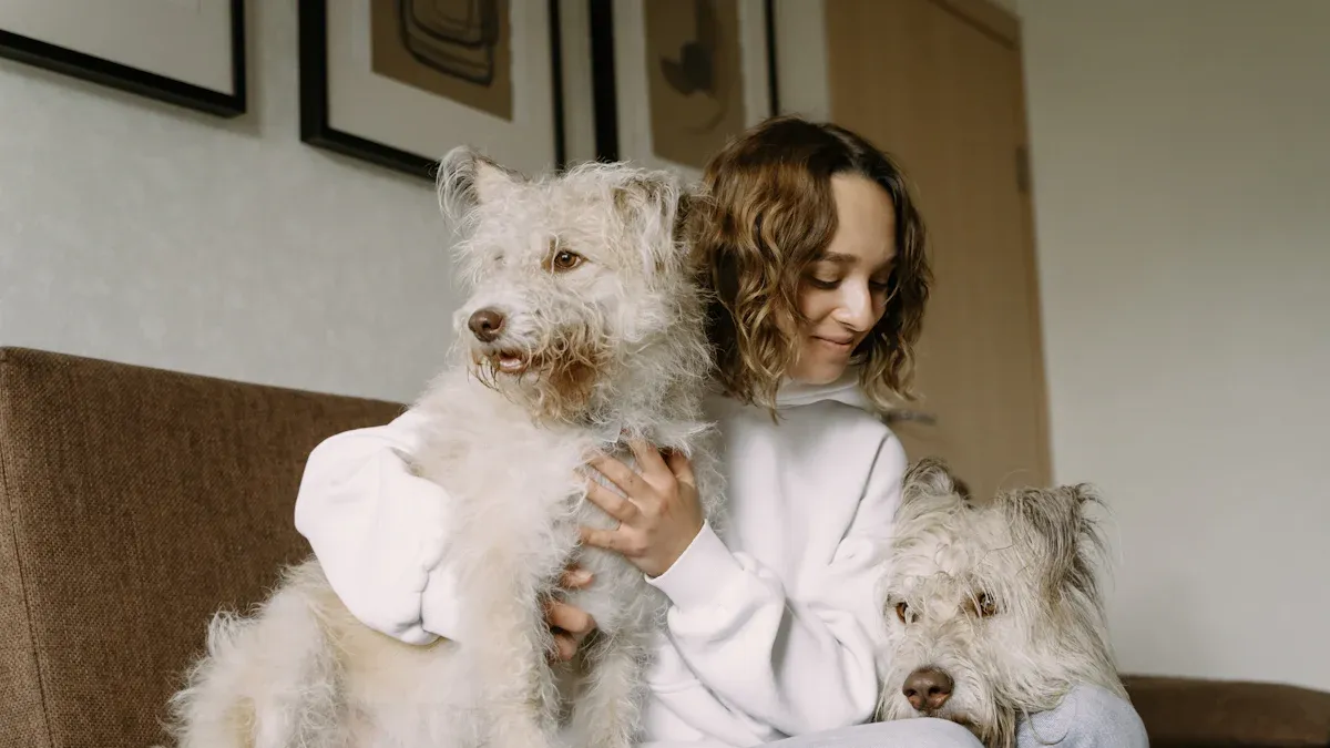 Key Features of Pet-Proof Window Treatments