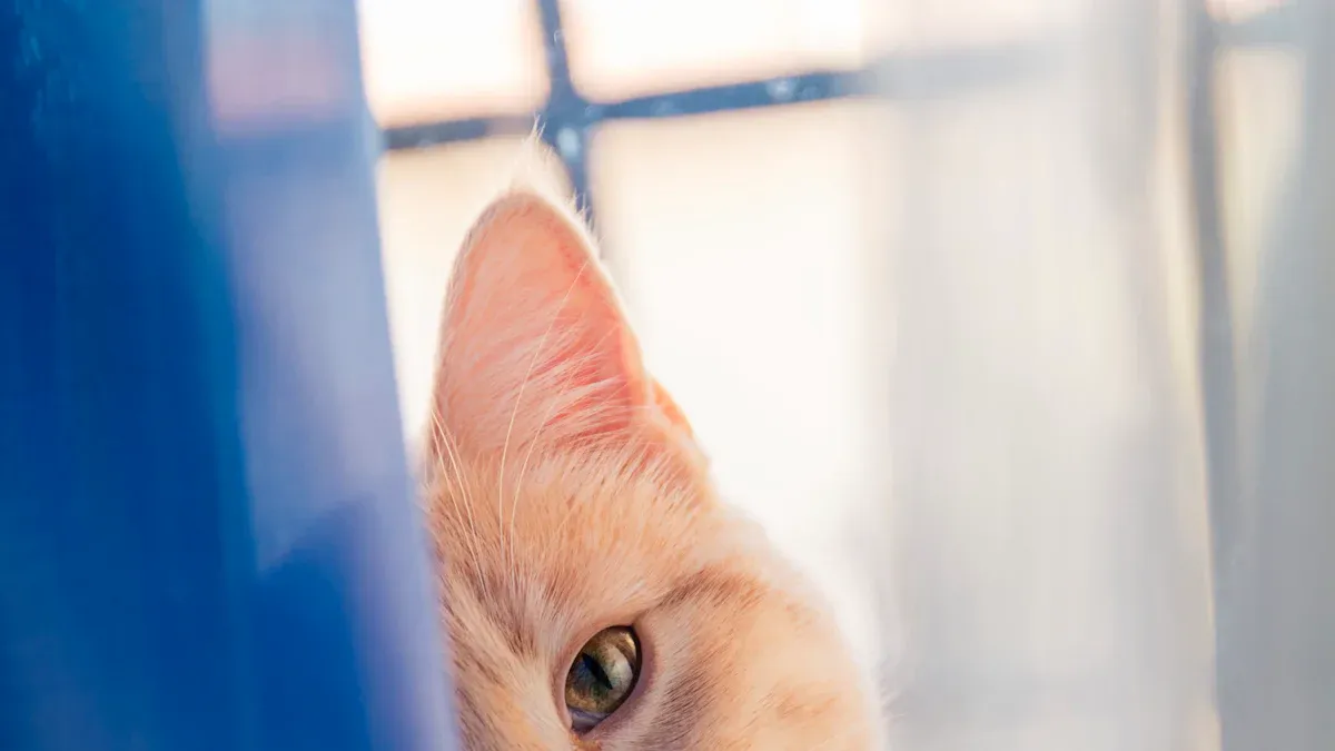 Stylish Custom Curtains for Pet Owners