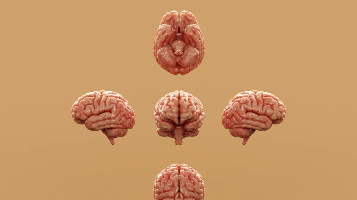 QuickMind versus Traditional Cognitive Rehab Methods for Personalized Recovery 10 Adaptability