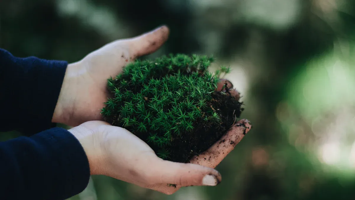 지속가능경영 일상과 소비자의 역할