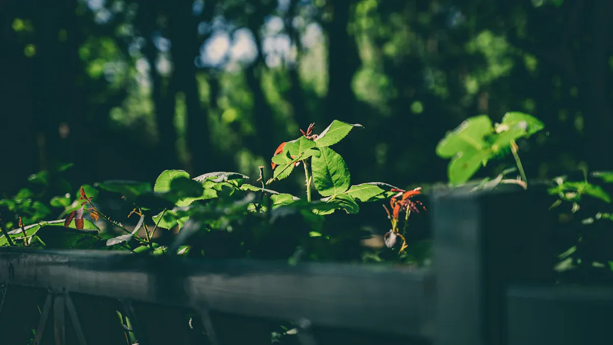 Taoist Principles in Environmental Sustainability