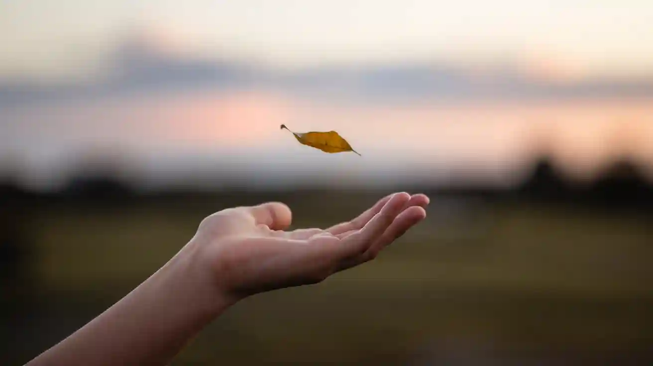 Wu Wei Explained: The Power of Effortless Action