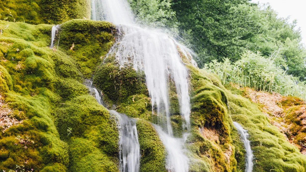 Taoist Principles for Handling High-Pressure Conflicts