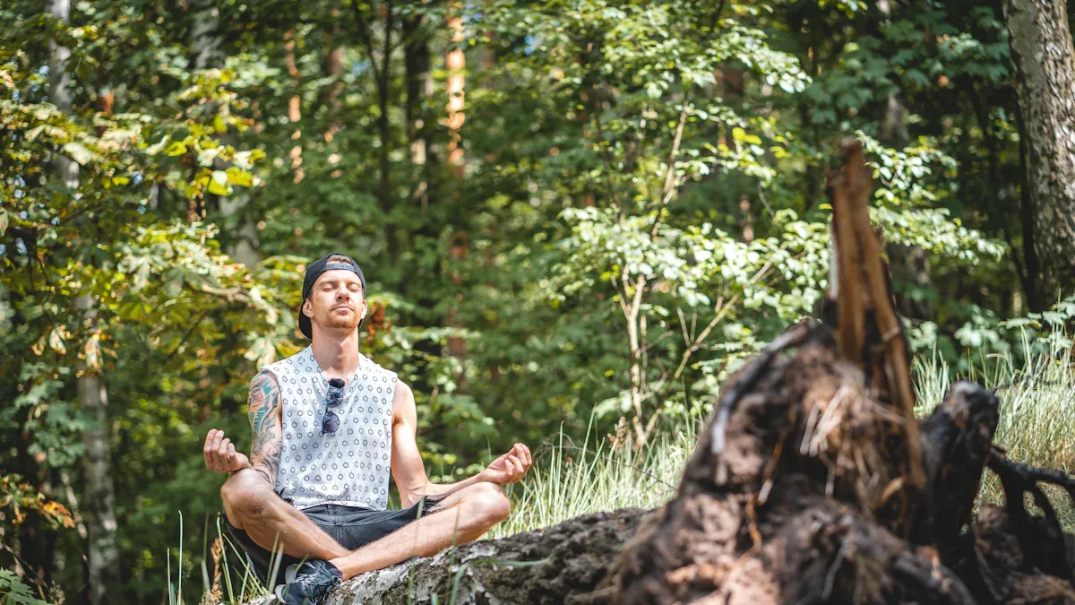 Taoist Practices for Solitude