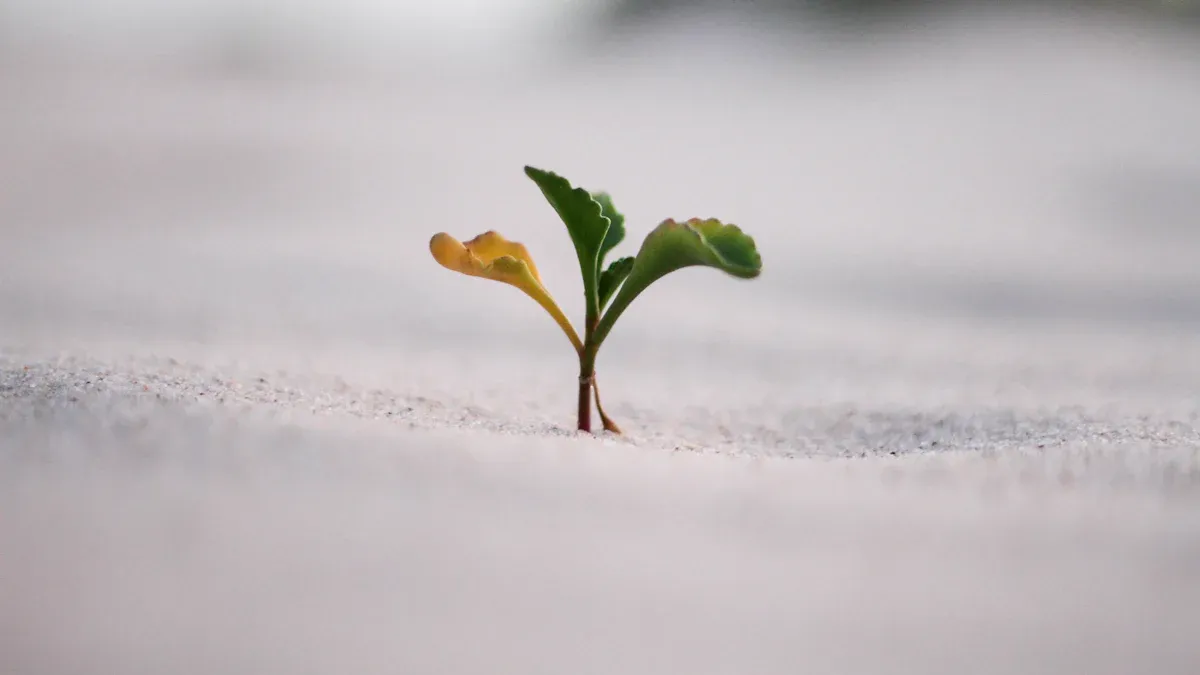 Benefits of Being Single for Growth