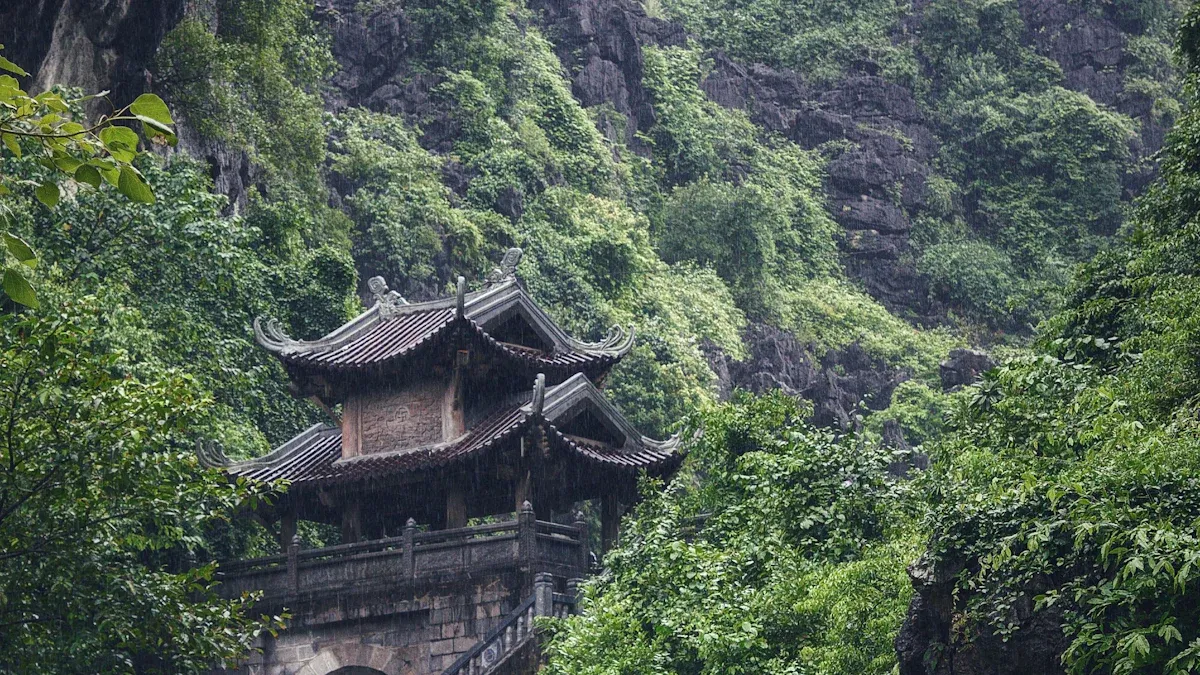 How to Bring Taoism into Your Urban Green Space Journey in 2025