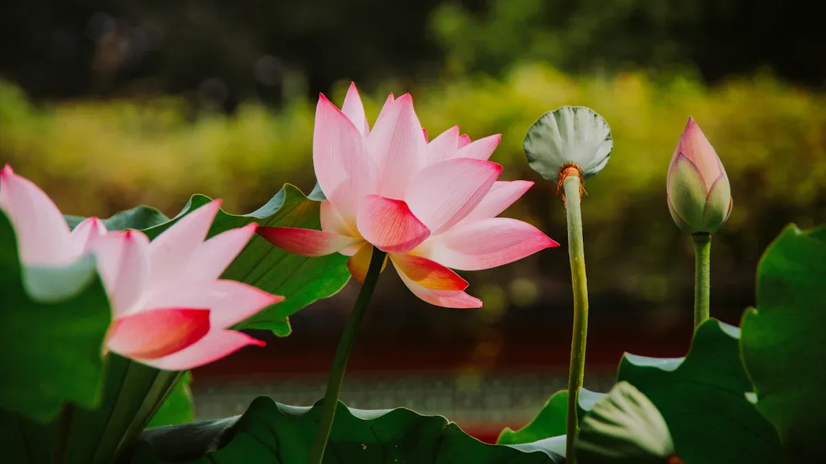 What You Need to Know About Taoism’s Approach to Anxiety Through Wu Wei