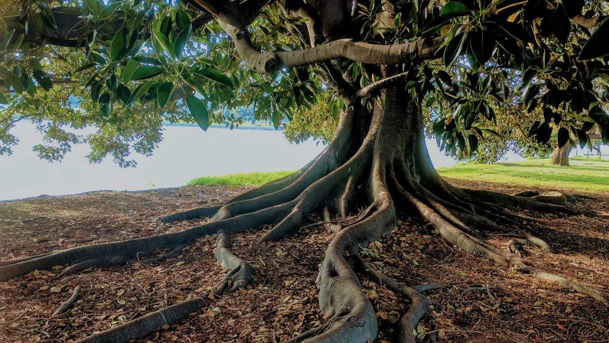 Taoist Wisdom and Grounding