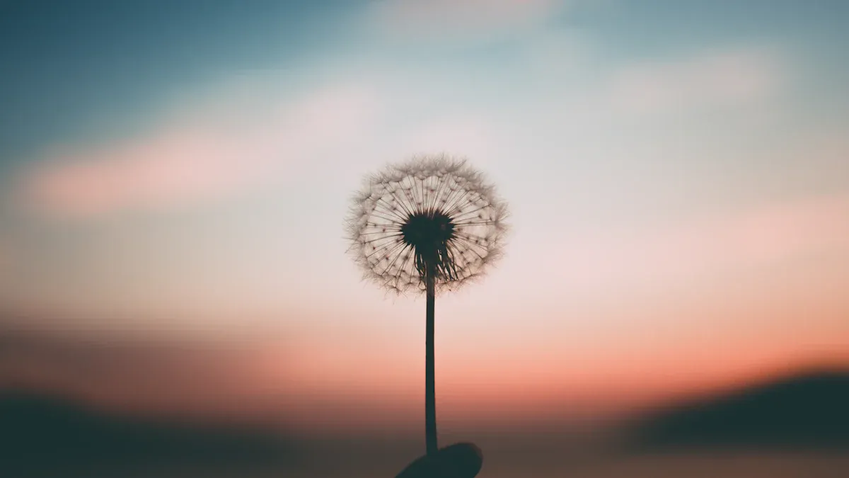 Taoist Lessons for Letting Go