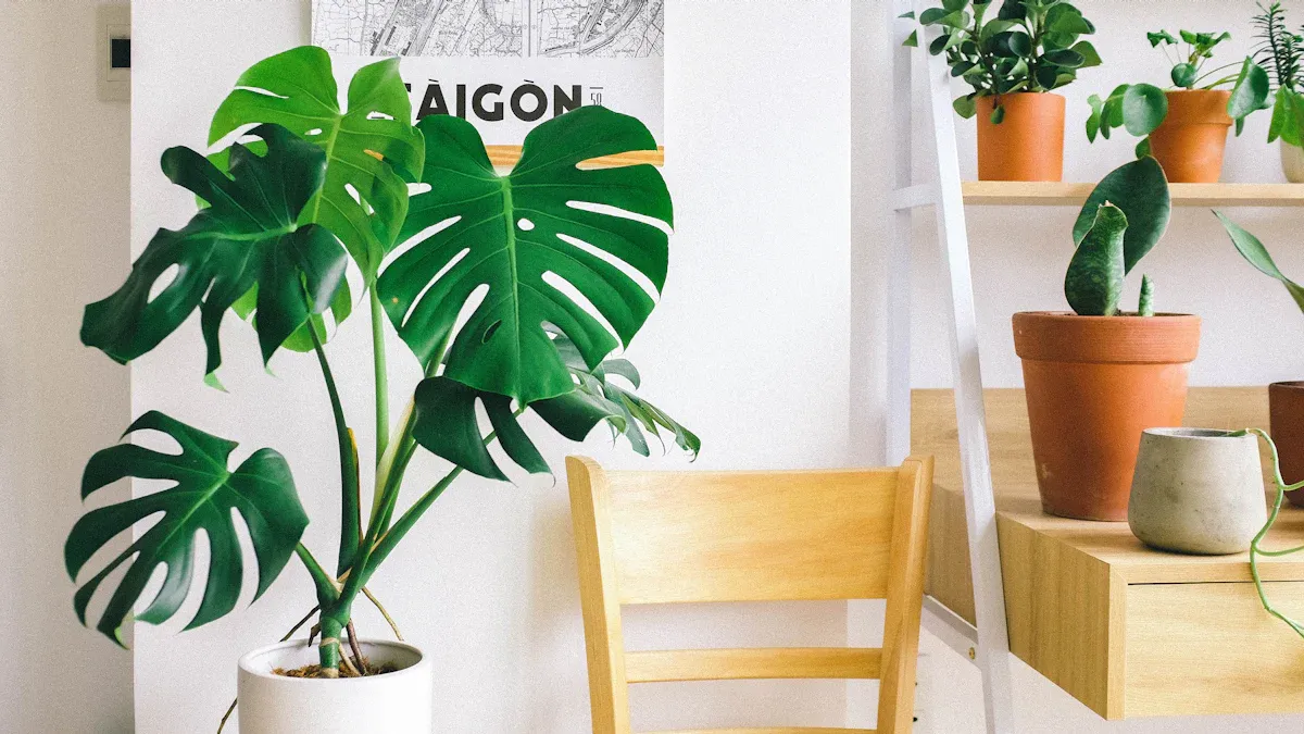 Colors, Lighting, and Natural Elements