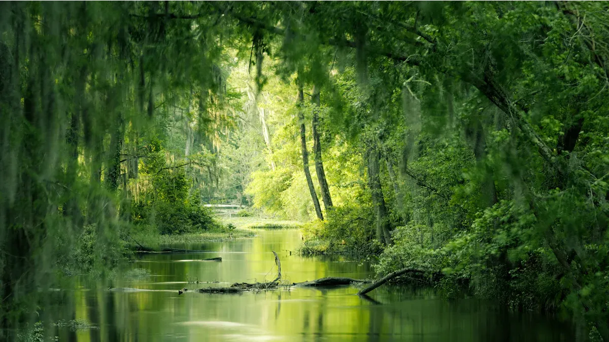 Harmony with nature and gratitude