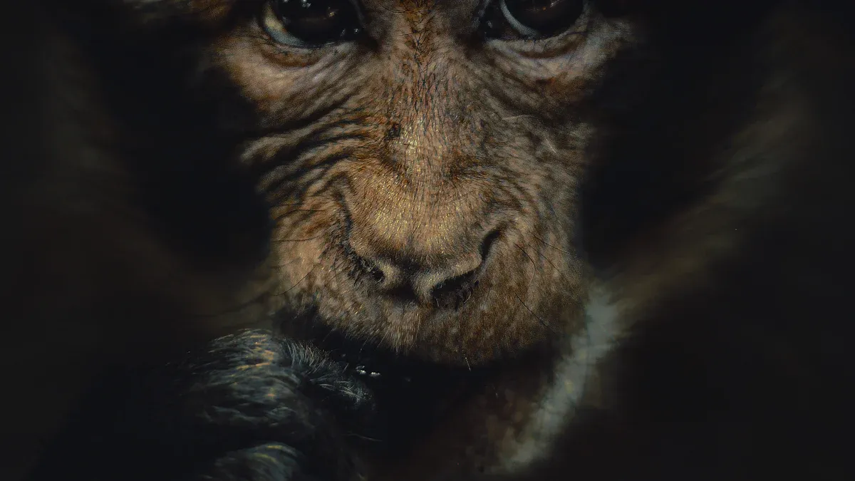 Taoism for ADHD: Embracing the Monkey Mind