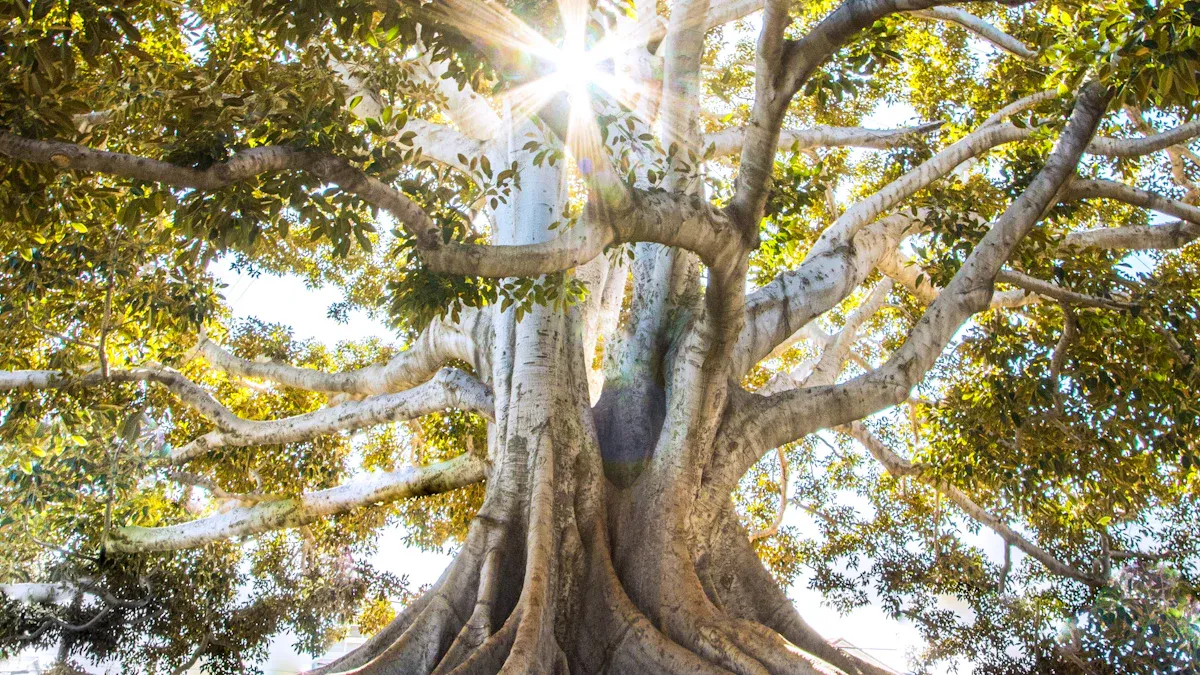 What Does the Tree of Life Mean?