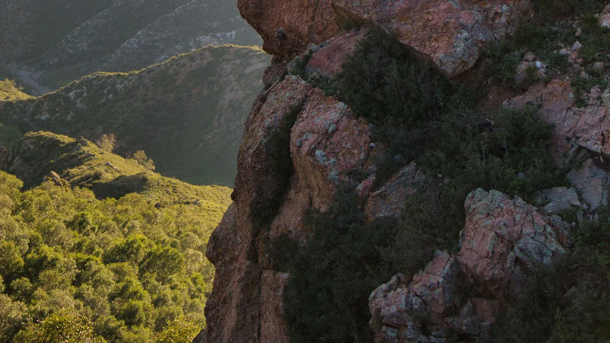 Inner Power and the Tao