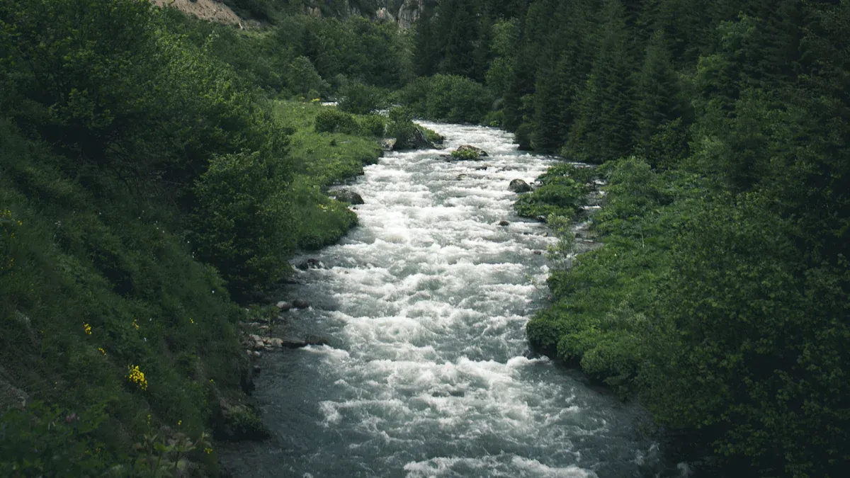 Water in Taoism: Source of Life and Change