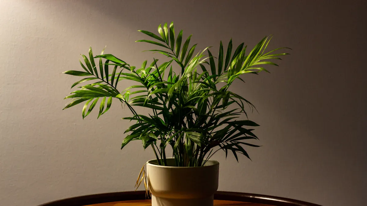 Discover the Top Feng Shui Plants to Transform Your Home