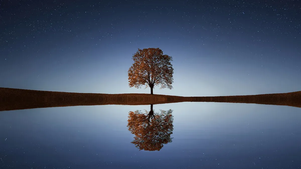 Solitude in Taoism
