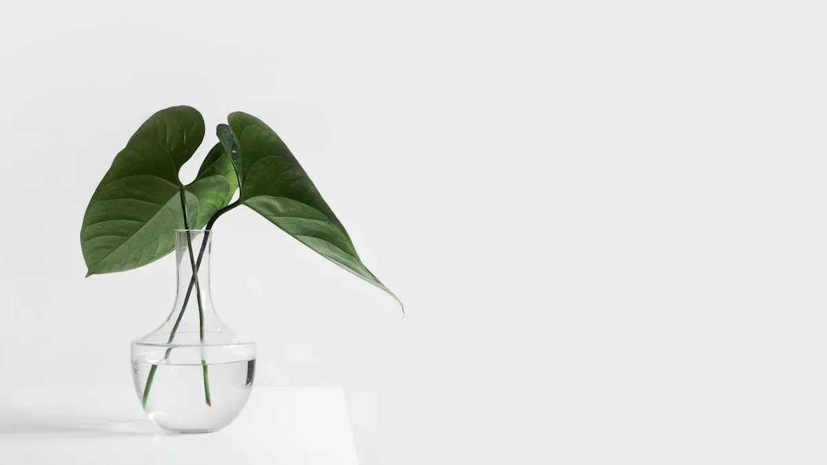 Finding Balance Through Simplicity