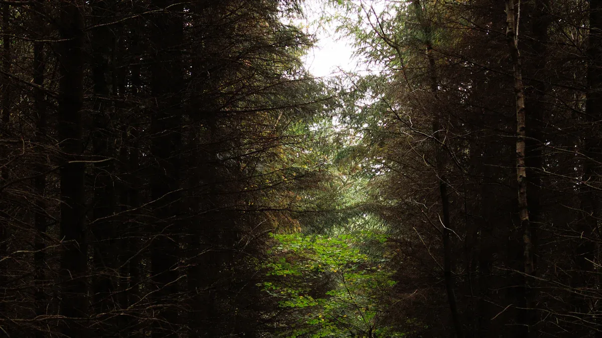 Exploring Your Spiritual Path