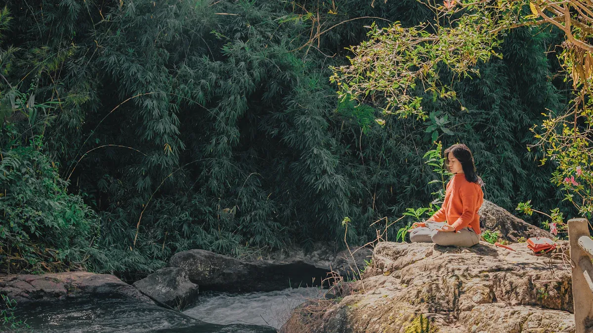 Taoist Tranquility