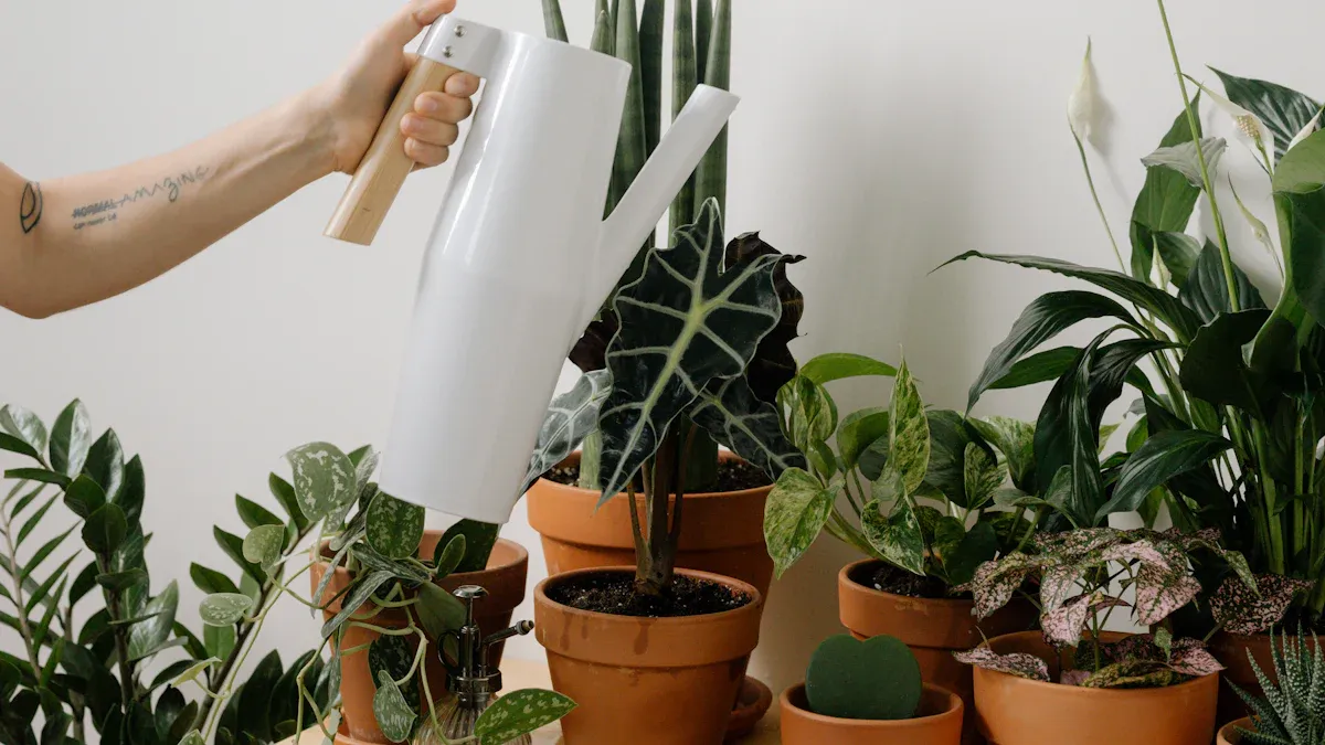 12 Best Feng Shui Plants to Boost Energy in Your Home and Office