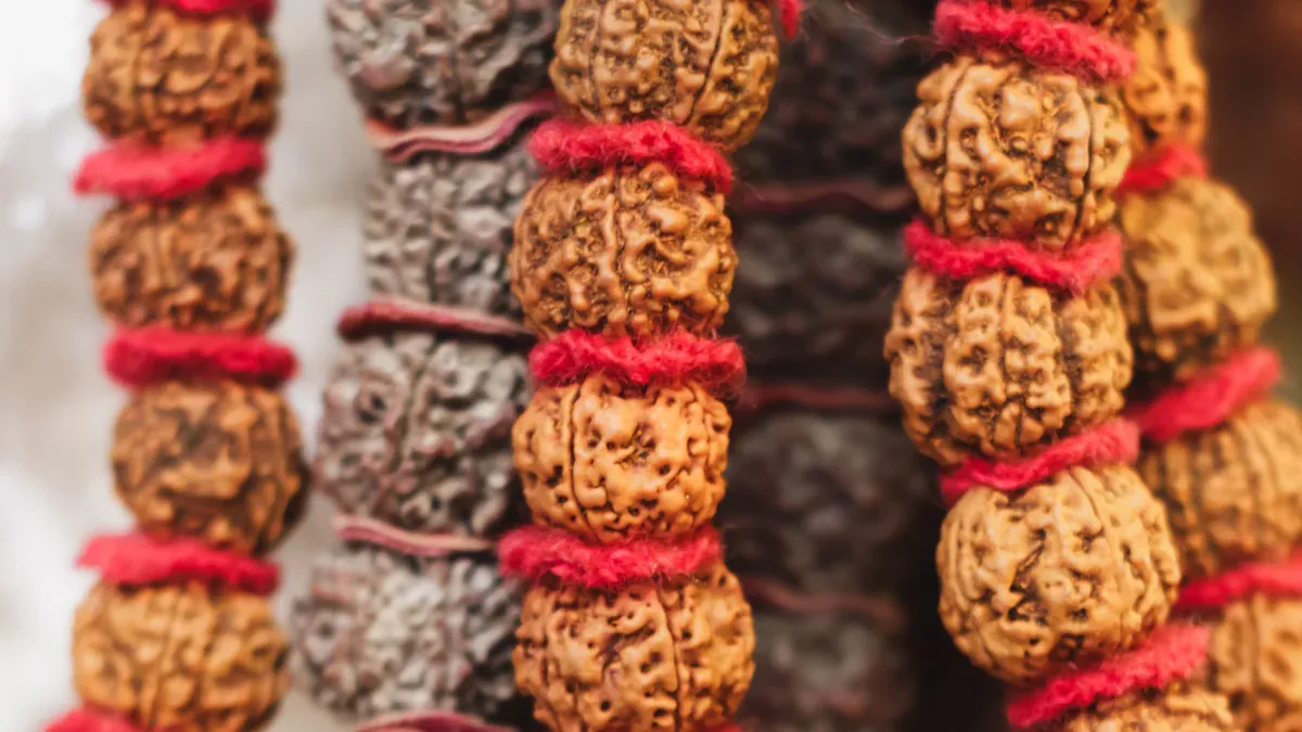Types of rudraksha seeds