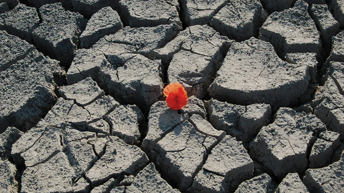 Facing Broken Plans